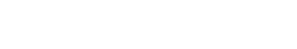 logo nipace